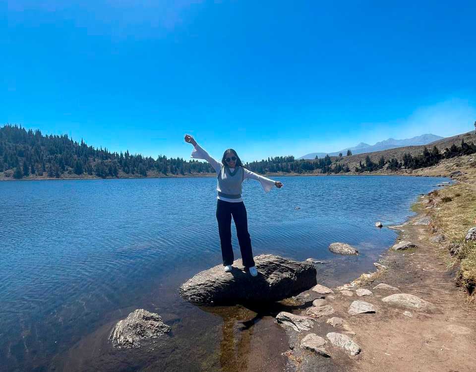 Life Oliva Agente Autorizado Camellia